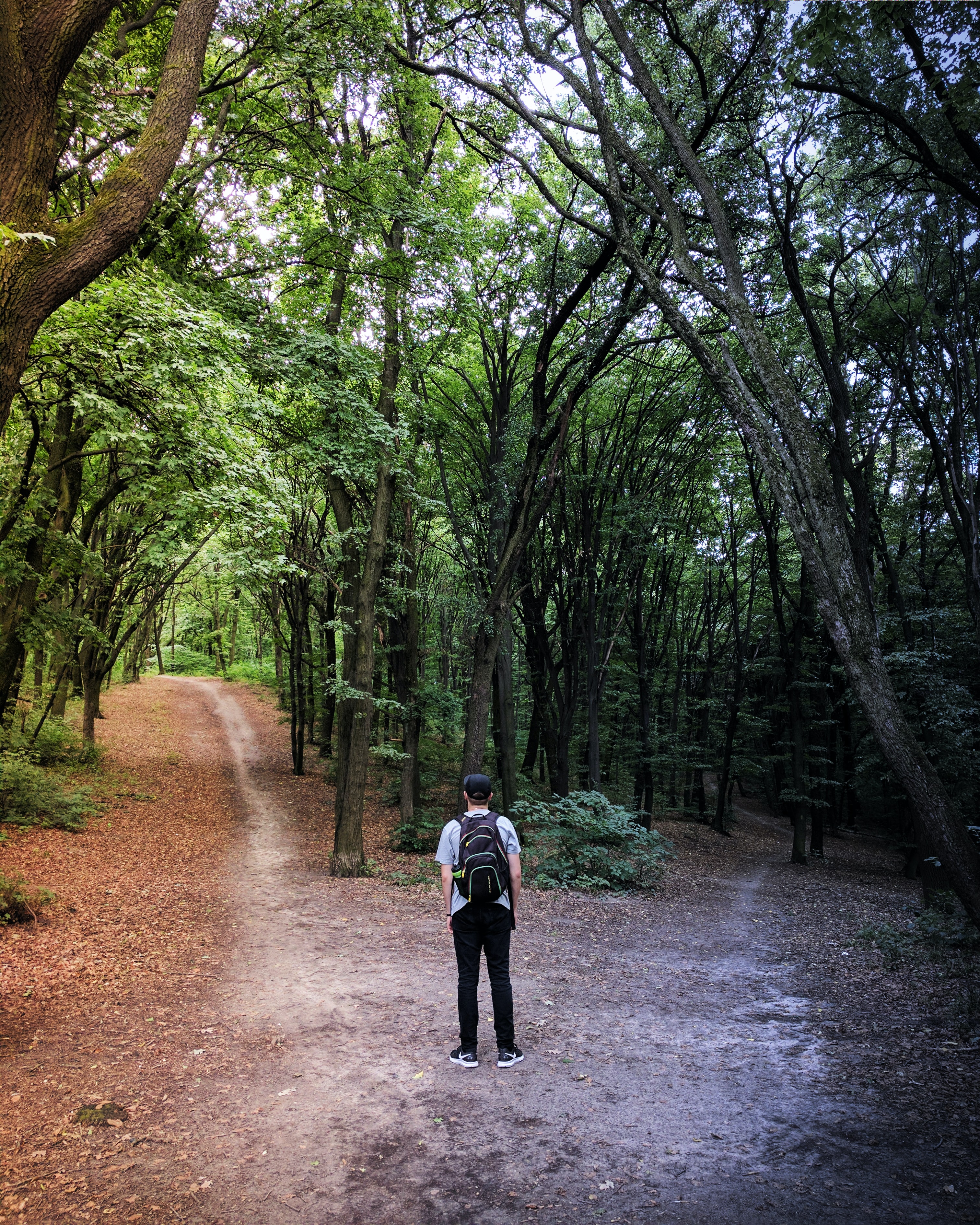 Metodo-Mindfulness-SelineSnel-EasyMinds